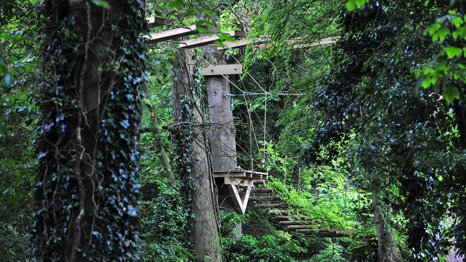 Ridgeway Camp