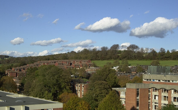 Sussex University