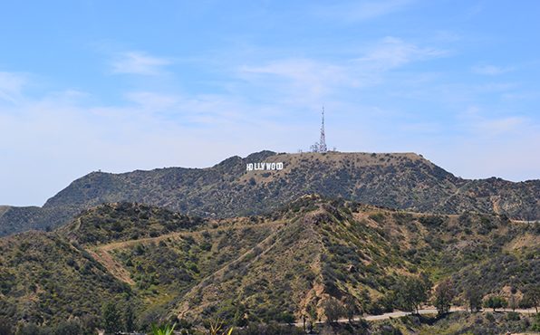 Cal-State University
