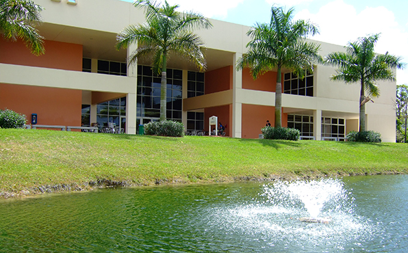 Saint Thomas University