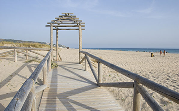 Stage découverte et cours