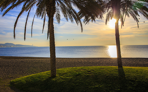 Immersion totale à Malaga