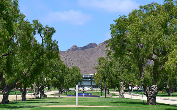 Cal-State University
