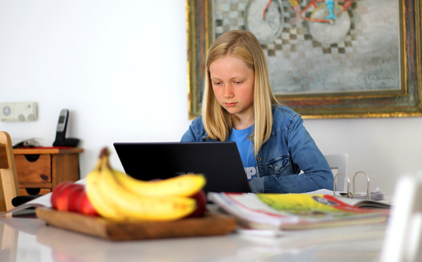 Online STEM