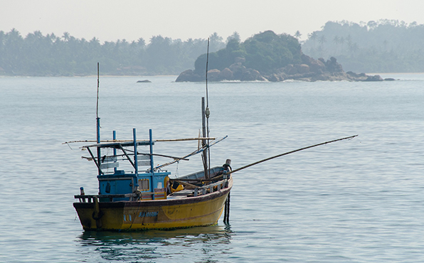 Mission au Sri Lanka