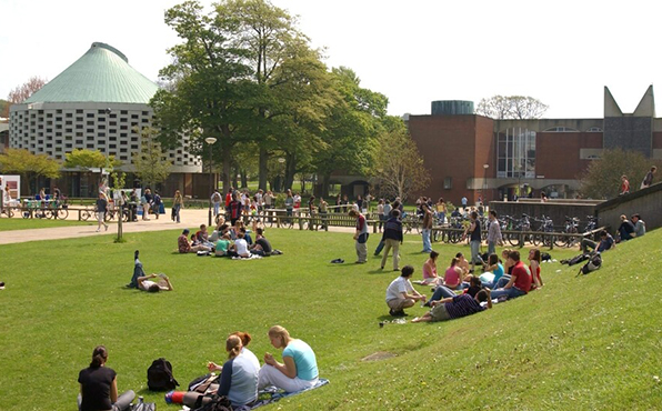 Sussex University